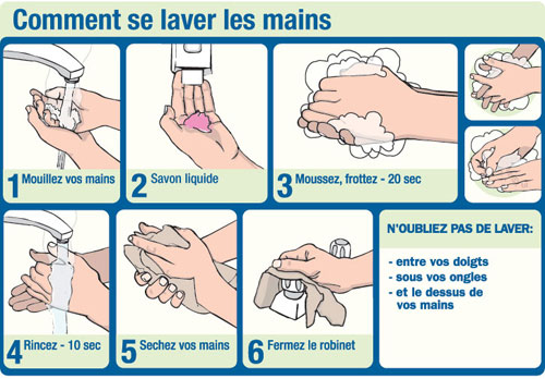 Le Lavage Des Mains D Expert Association Pulmonaire Du Canada